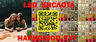 Альфа ПВП Сланцы