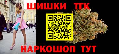 Альфа ПВП Сланцы