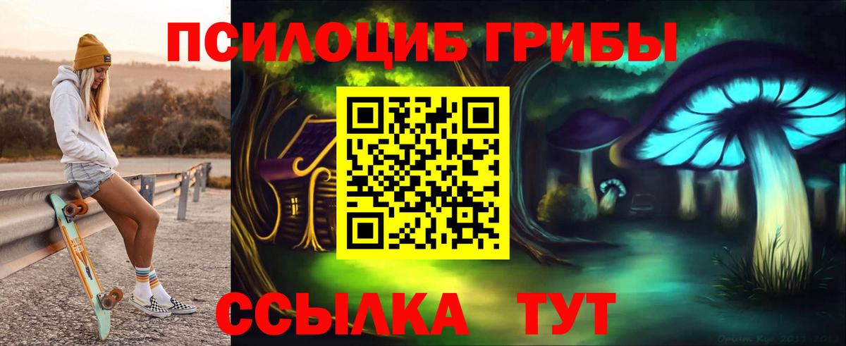 Галлюциногенные грибы прущие грибы  Вход с VPN  Нерюнгри 
